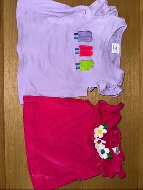 Florence eisman 3t  Short Sleeve pink flower and purple popsicle top ruffle